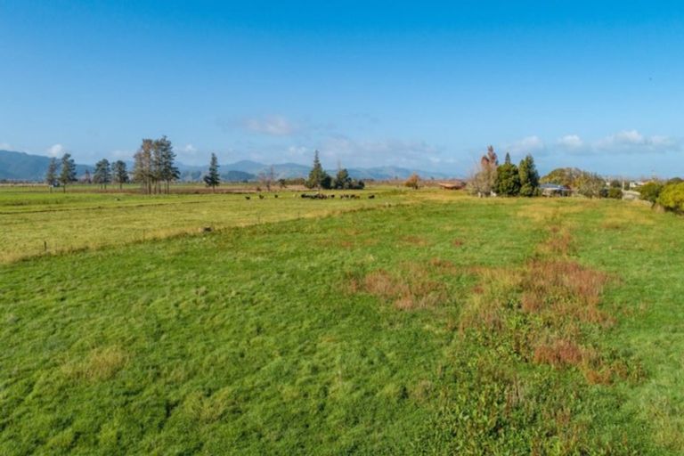 Photo of property in 65 Gumtown Road, Turua, Thames, 3574