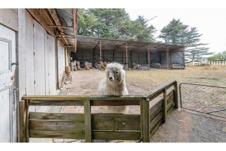 Photo of property in 1118 Tram Road, Swannanoa, Kaiapoi, 7692