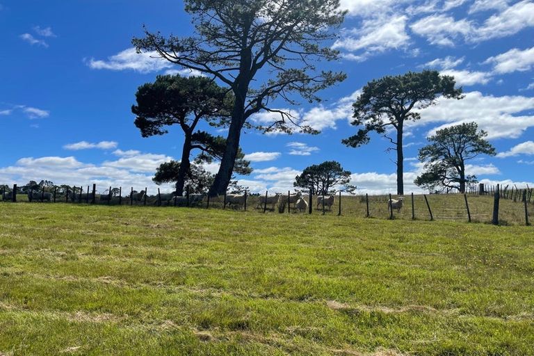 Photo of property in 284 Glenmore Road, Coatesville, Albany, 0793