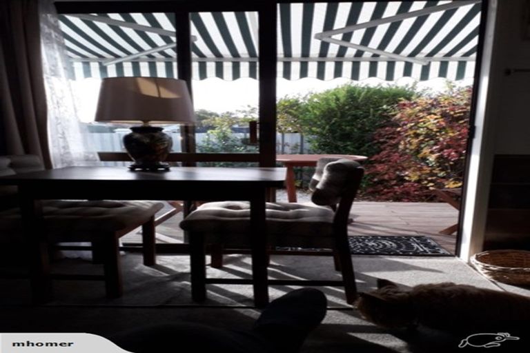 Photo of property in 31 Cadman Street, Cheviot, 7310