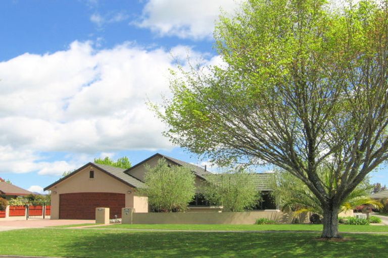 Photo of property in 85 Burwood Road, Matamata, 3400