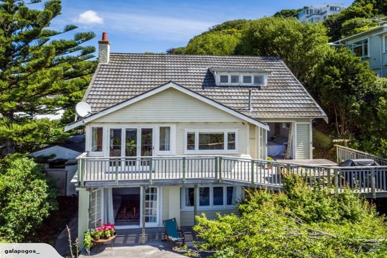 Photo of property in 66 Hankey Street, Mount Cook, Wellington, 6011