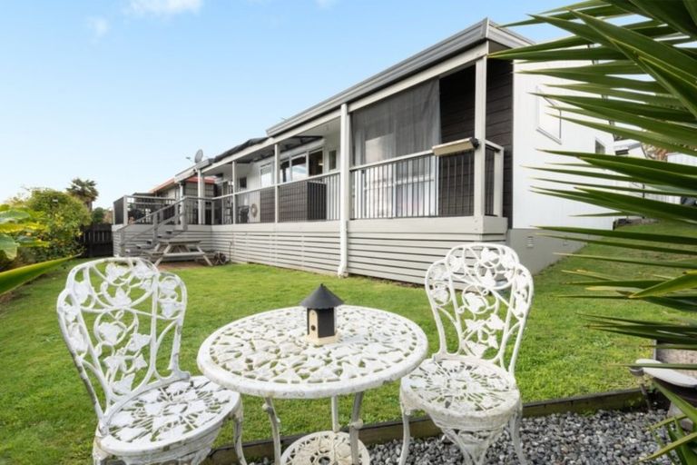 Photo of property in 11c Mansfield Street, Hairini, Tauranga, 3112