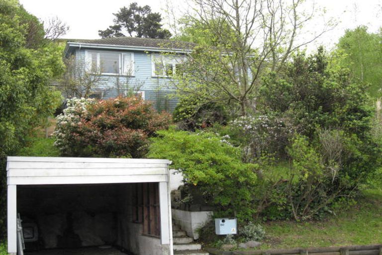 Photo of property in 60 Emano Street, Toi Toi, Nelson, 7010