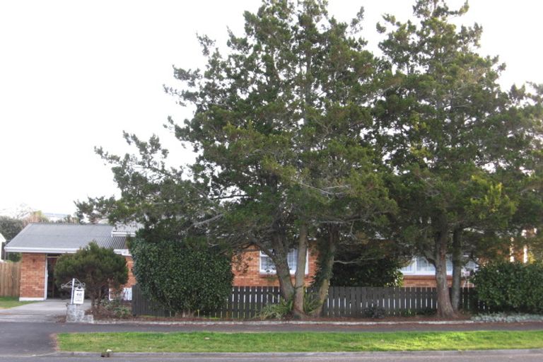 Photo of property in 48 Mansel Avenue, Hillcrest, Hamilton, 3216