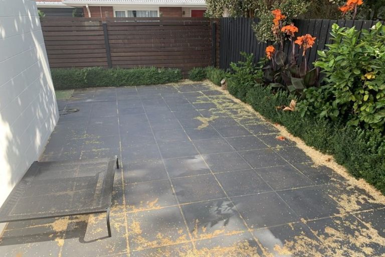 Photo of property in 5/30 Picton Avenue, Riccarton, Christchurch, 8011