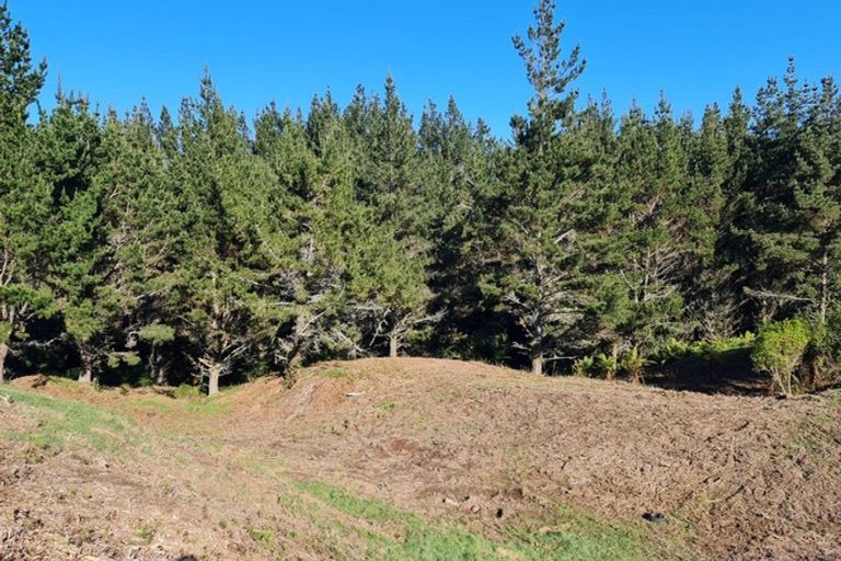 Photo of property in 95 Te Kohanga Road, Whakamarama, 3179