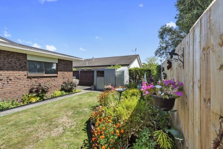 Photo of property in 67a Boundary Road, Claudelands, Hamilton, 3214