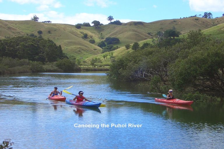 Photo of property in 60 Puhoi Road, Puhoi, Warkworth, 0994