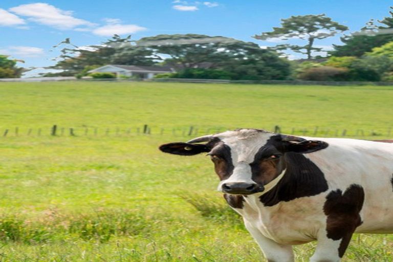 Photo of property in 522 Wainui Road, Wainui, Silverdale, 0992