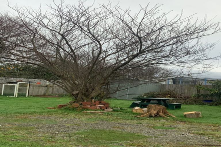 Photo of property in 5a Dudley Street, Levin, 5510