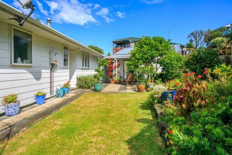 Photo of property in 24 Long Bay Drive, Torbay, Auckland, 0630