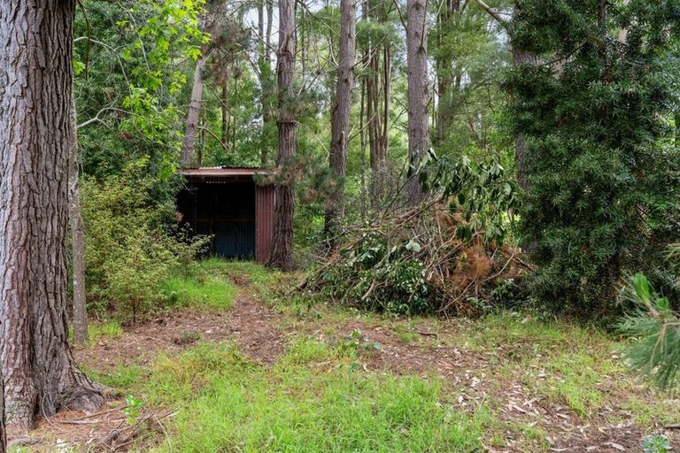 Photo of property in 76 Leinster Avenue, Raumati South, Paraparaumu, 5032