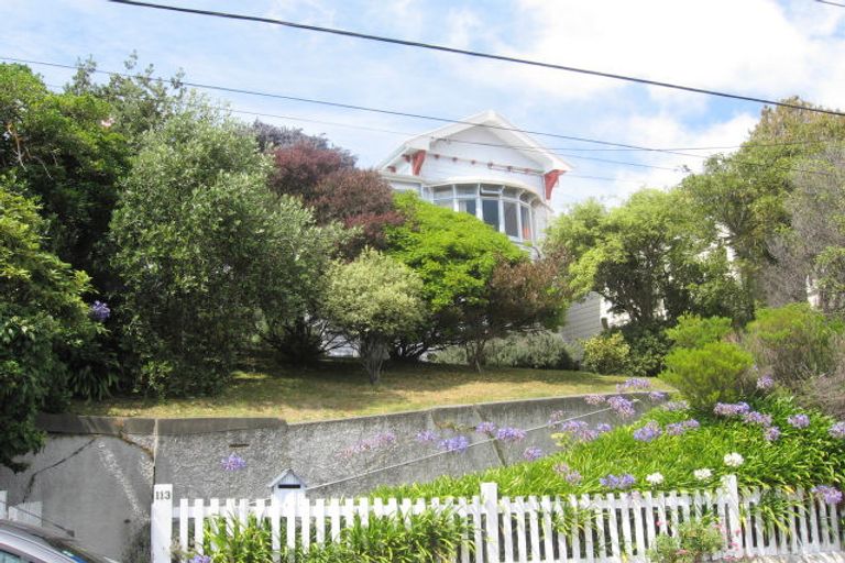 Photo of property in 113 Waipapa Road, Hataitai, Wellington, 6021