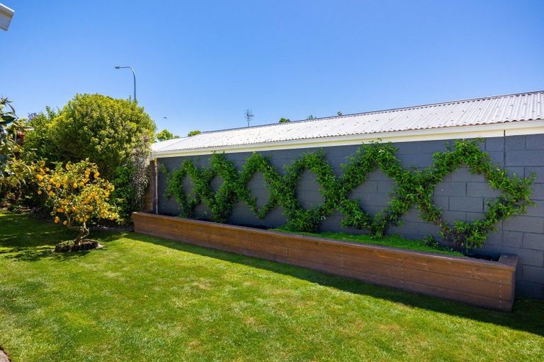 Photo of property in 99b Redwood Street, Redwoodtown, Blenheim, 7201