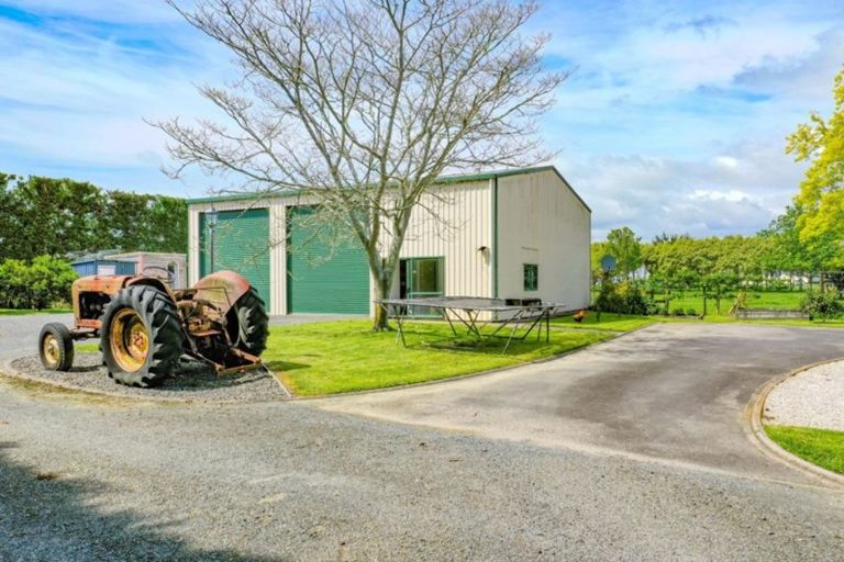 Photo of property in 445 West Bank Road, Edgecumbe, Whakatane, 3193