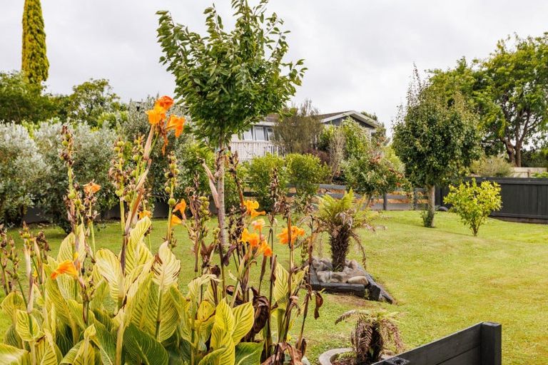 Photo of property in 25 Vista Drive, Feilding, 4702