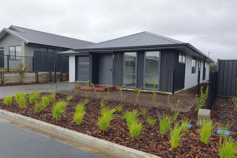 Photo of property in 10 Ash Lane, Omokoroa, 3114