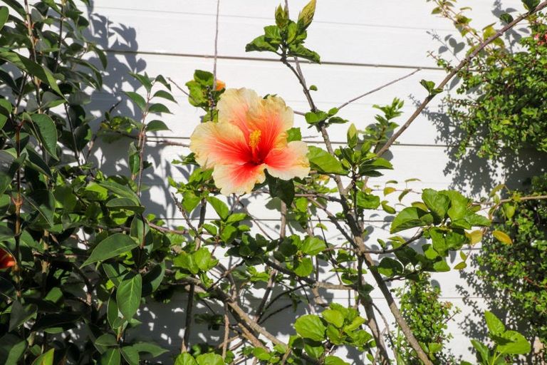 Photo of property in 107 Totara Close, Thames, 3500