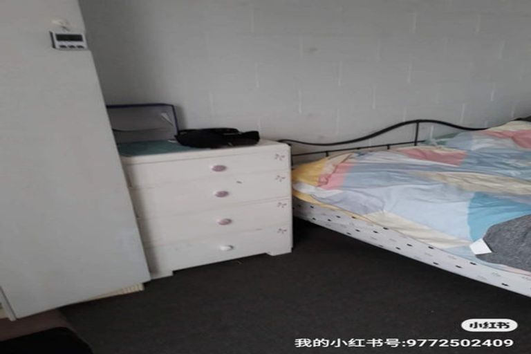 Photo of property in 43 Balgay Street, Upper Riccarton, Christchurch, 8041