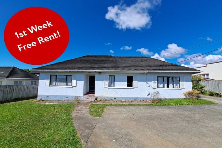 Photo of property in 88 Nikau Street, New Lynn, Auckland, 0600