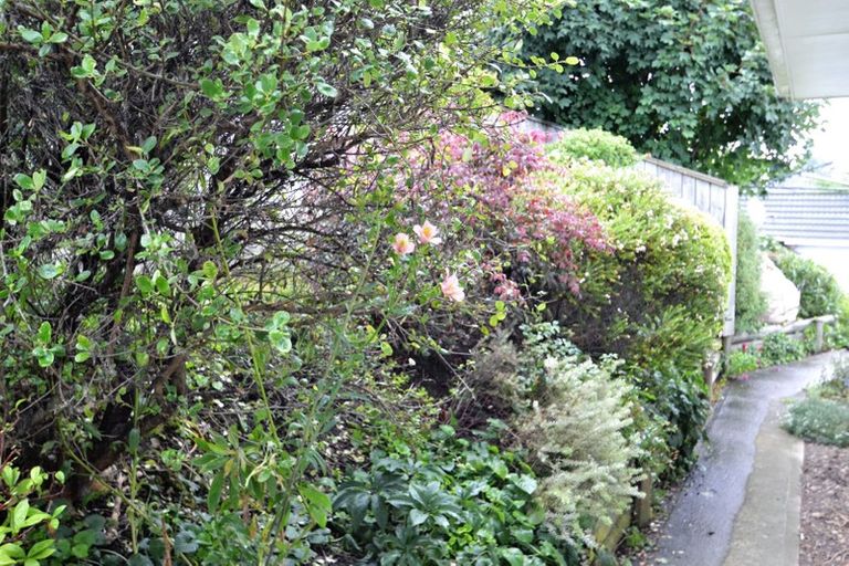 Photo of property in 145b Waimea Road, Nelson South, Nelson, 7010