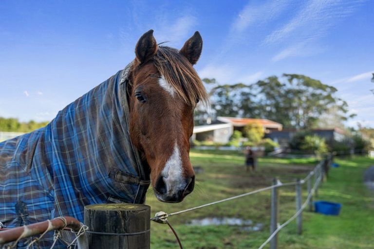 Photo of property in 805 Taumata Road, Omanawa, Tauranga, 3173