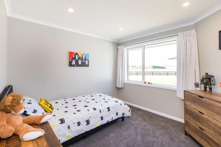 Photo of property in 467 Lees Road, Feilding, 4775