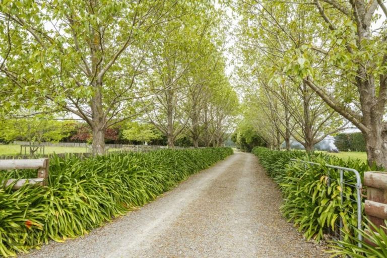 Photo of property in 62 Almadale Road, Cheltenham, Feilding, 4777