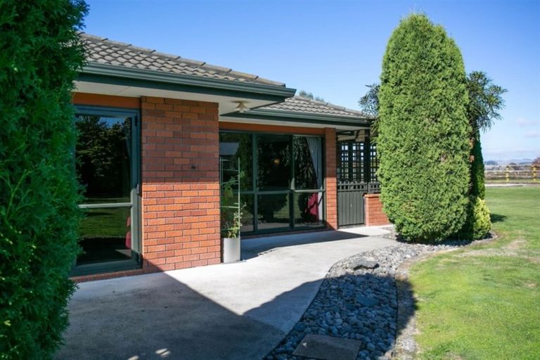 Photo of property in 20 De La Mare Drive, Leamington, Cambridge, 3432