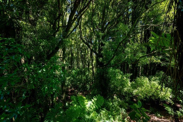 Photo of property in 89 Kaharoa Road, Hamurana, Rotorua, 3096