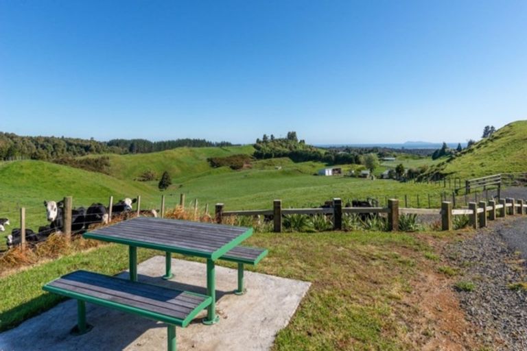 Photo of property in 956b Whakamarama Road, Whakamarama, 3179
