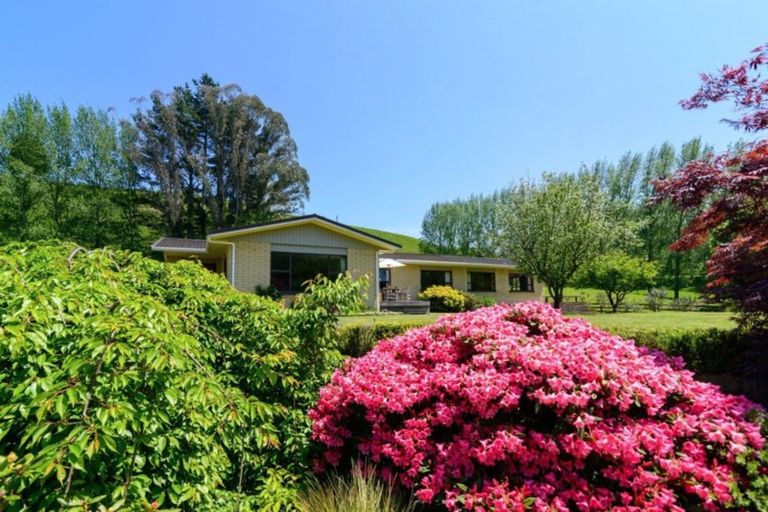 Photo of property in 517 Paradise Valley Road, Ngongotaha Valley, Rotorua, 3072