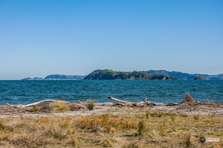 Photo of property in 231 The Esplanade, Petone, Lower Hutt, 5012