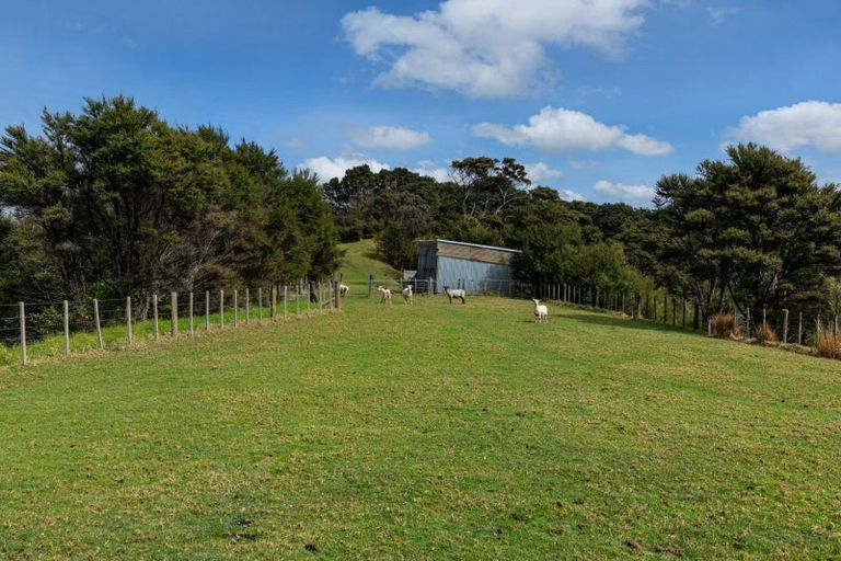 Photo of property in 240 Three Oaks Drive, Dairy Flat, Albany, 0794