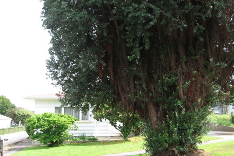 Photo of property in 24 Pine Street, Mangapapa, Gisborne, 4010