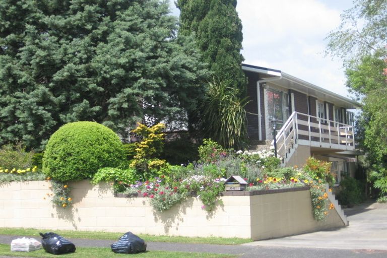 Photo of property in 64 Coronation Road, Morrinsville, 3300