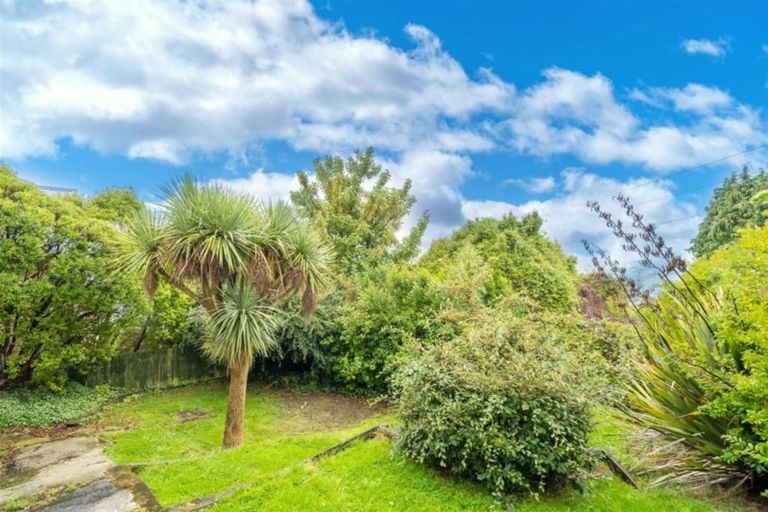 Photo of property in 19 Forfar Street, Clyde Hill, Dunedin, 9011