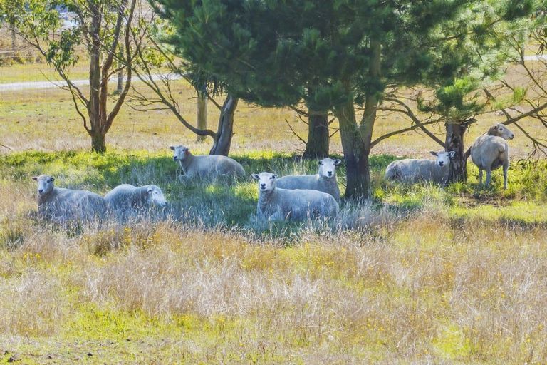 Photo of property in 1897 South Eyre Road, Eyrewell, Rangiora, 7476