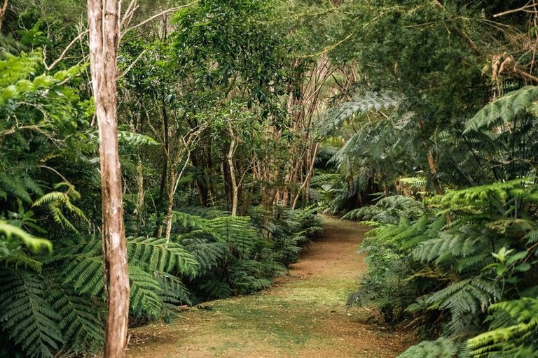 Photo of property in 183 Rangitane Road, Kerikeri, 0294