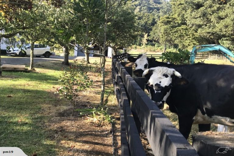 Photo of property in 1449 State Highway 14, Maungatapere, Whangarei, 0179