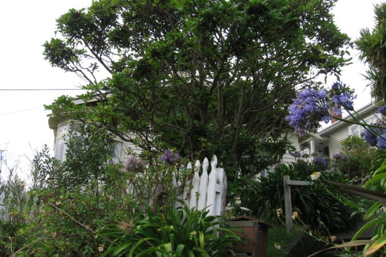 Photo of property in 20 Akatea Street, Berhampore, Wellington, 6023