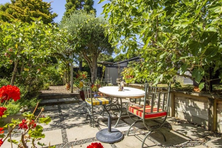 Photo of property in 14 Strange Grove, Matua, Tauranga, 3110