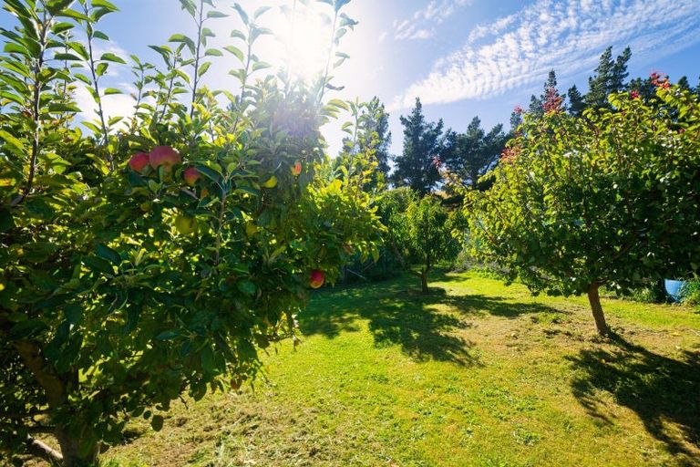 Photo of property in 317 Caseys Road, Blind River, Seddon, 7285