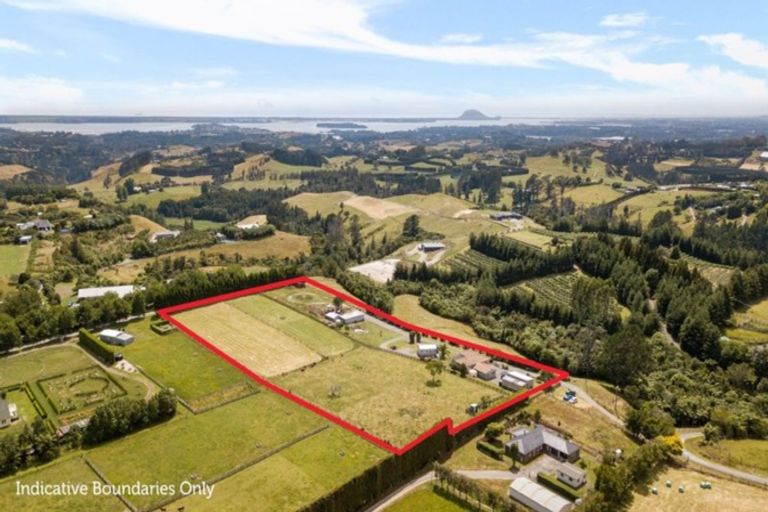 Photo of property in 649c Esdaile Road, Whakamarama, Tauranga, 3180