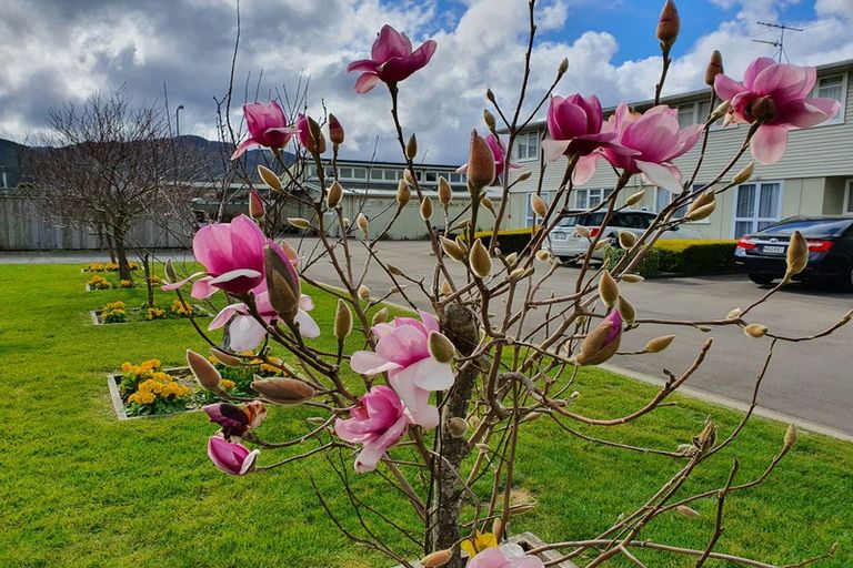 Photo of property in 16/19 Fire Station Lane, Trentham, Upper Hutt, 5018