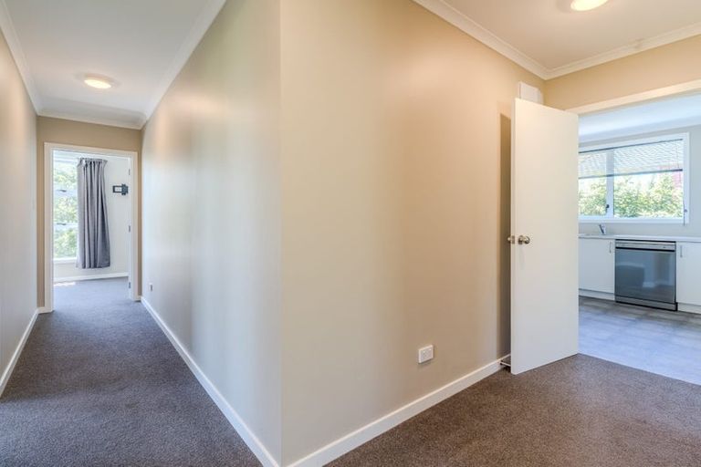 Photo of property in 20 Panmure Avenue, Calton Hill, Dunedin, 9012