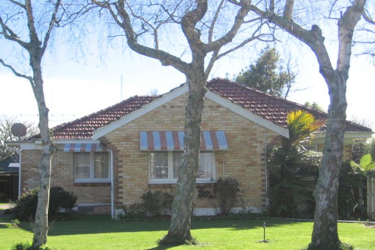 Photo of property in 13 Woodstock Road, Fairfield, Hamilton, 3214