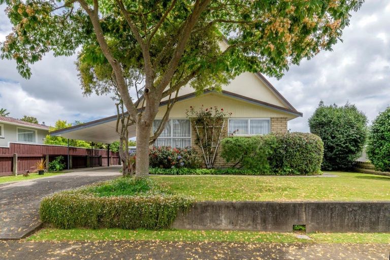 Photo of property in 10 Regal Street, Levin, 5510