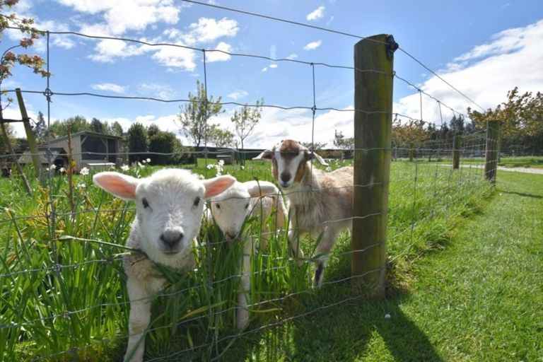 Photo of property in 495 Mill North, Roslyn Bush, Invercargill, 9876